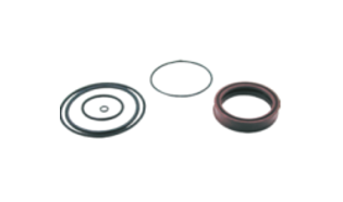 Jgo de Reparo Parc. para Reduzida Caja de Cambio GV MB/Volvo