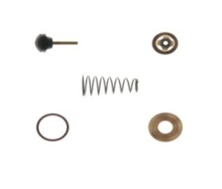 Jgo de Rep Para Valv. de Retencion Simple Ford/Volvo/Scania,